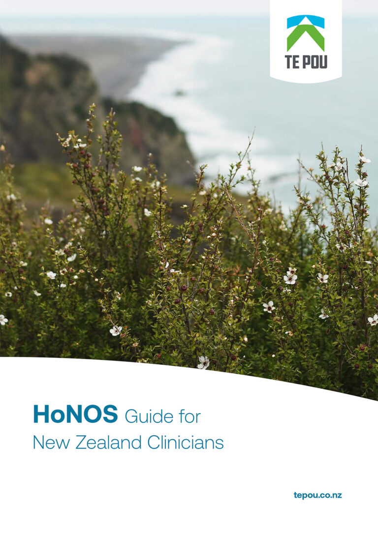 HoNOS-Clinician-Guide-Nov-2022-1
