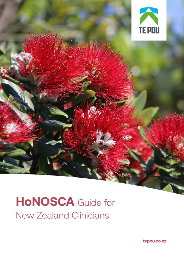 HoNOSCA-Guide-NZ-clinicians-V3-1